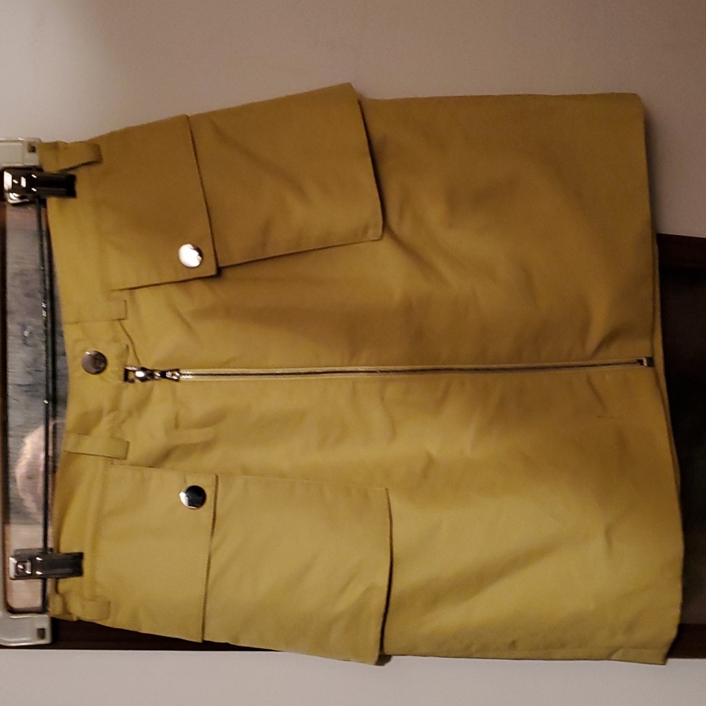 NWT initially priced at $690 Aliette skirt